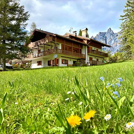 Appartement Large Flat, 5min To Sky Slopes, Garage Cortina dʼAmpezzo